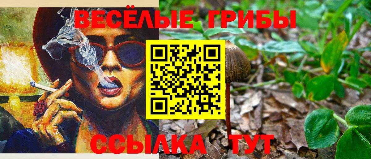 Галлюциногенные грибы прущие грибы  Вход с VPN  Новоуральск  Галлюциногенные грибы MAGIC MUSHROOMS 